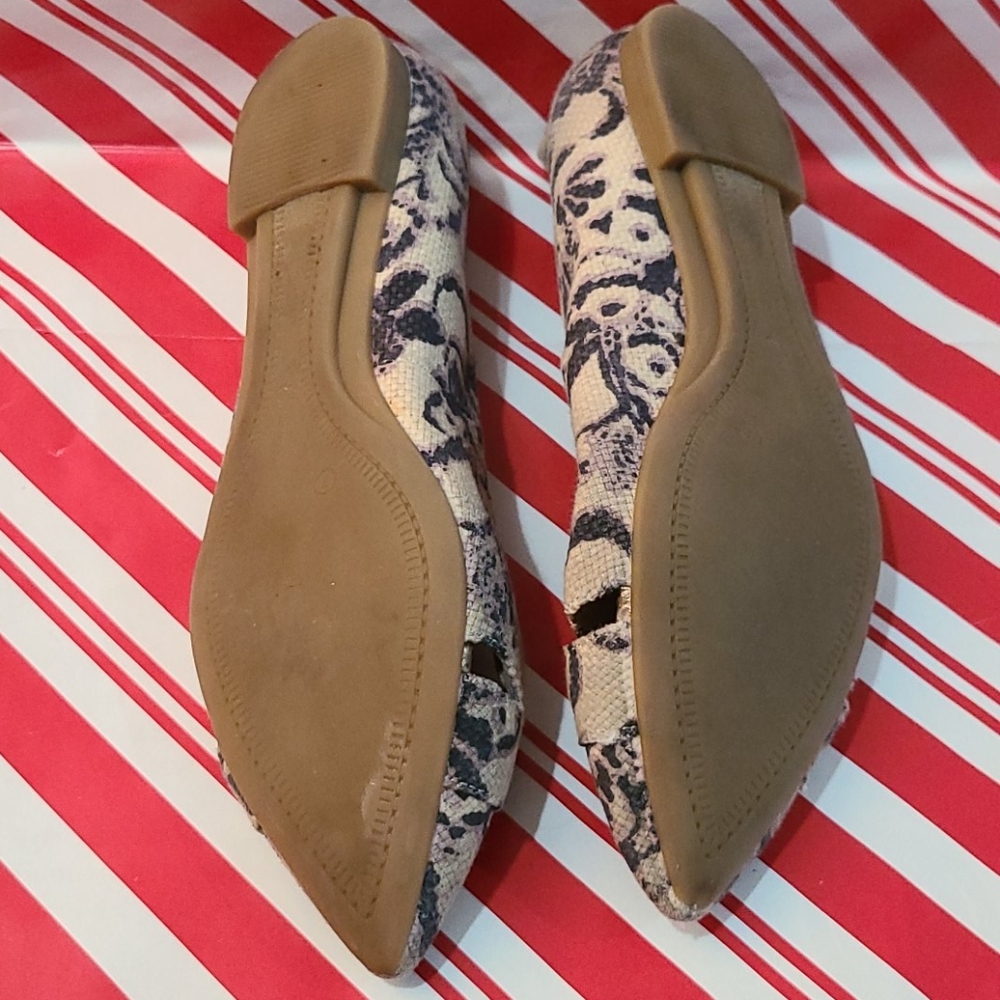 Collection flats size 7m - Picture 5 of 5